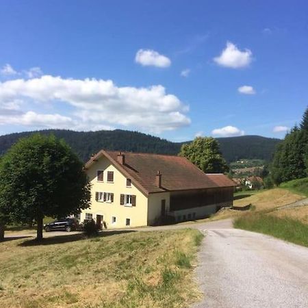 Chalet Cosy Lisiere De Foret Xonrupt-Longemer Exterior photo