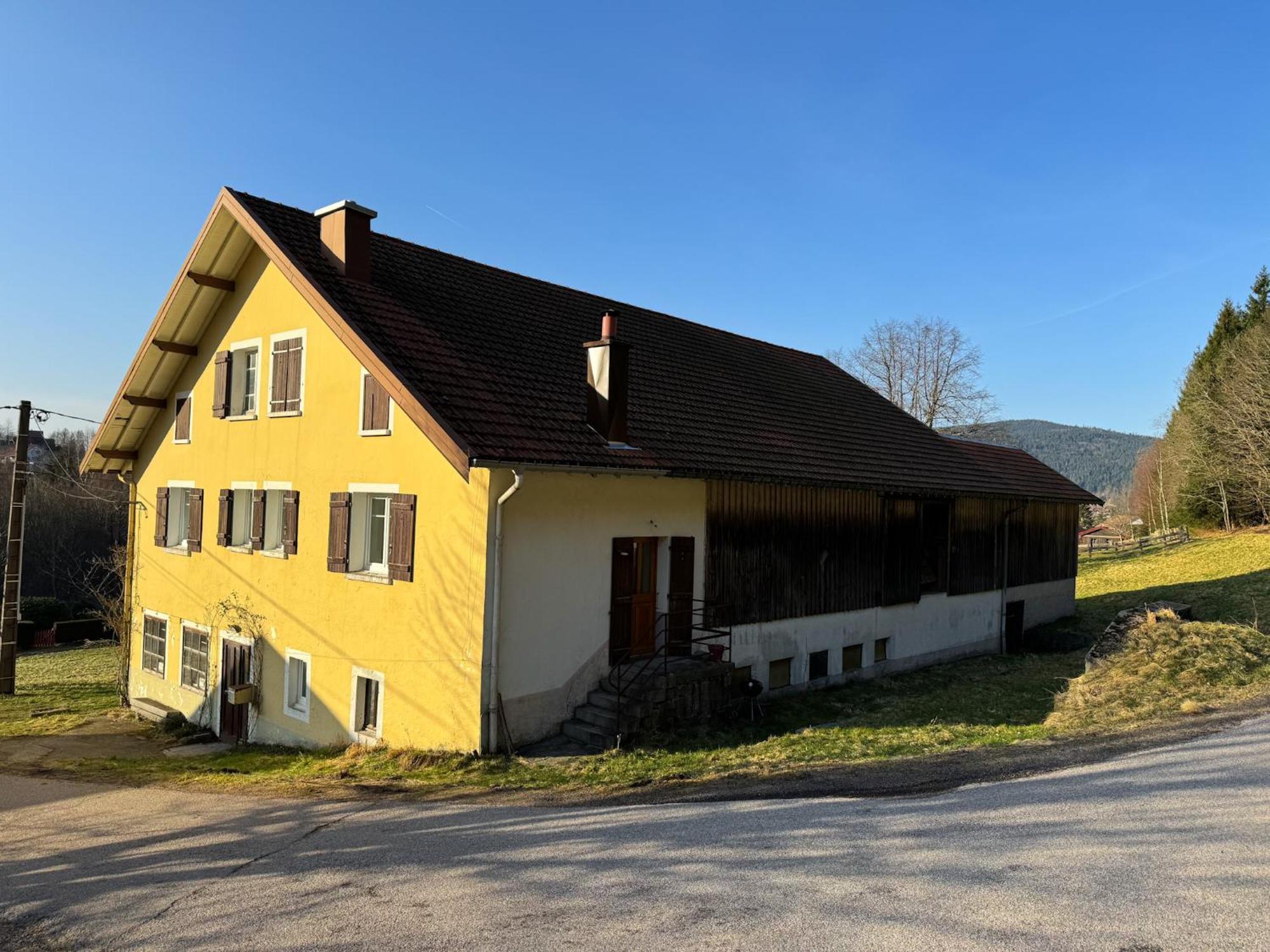 Chalet Cosy Lisiere De Foret Xonrupt-Longemer Exterior photo